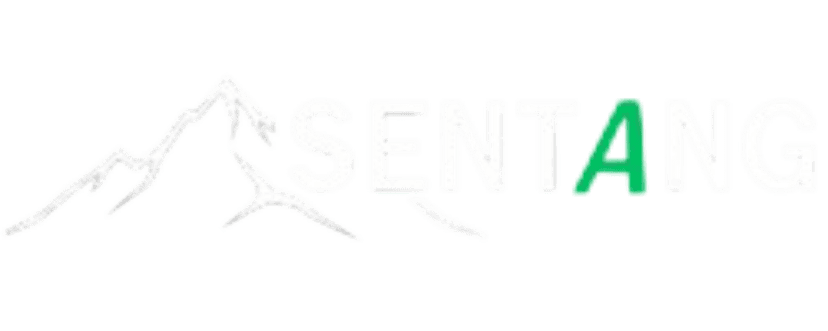 Sentang.co Logo