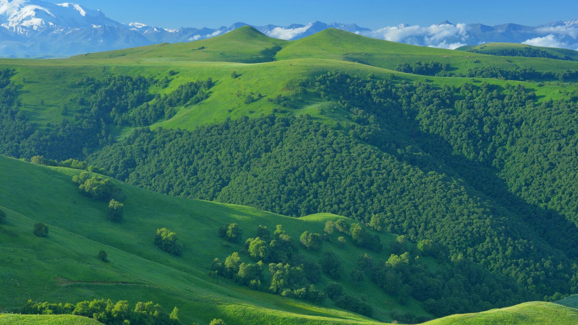 ดอยหลวงเชียงดาว