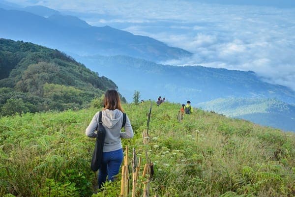 4 เส้นทางเดินป่าในไทย เหมาะสำหรับมือใหม่สุดๆ 🌿